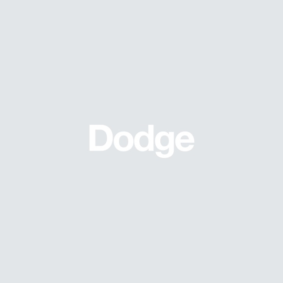 THE DODGE COMPANY